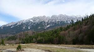 We did not find results for: Piatra Craiului Mountain Through Zarnesti To The Plaiul Foii Chalet Picture Of Bran Belvedere Tripadvisor