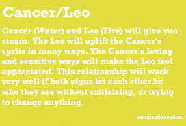 Totally Me My Honey Can Anyone Guess Which One Is Which Leo And Cancer Cancer And Leo Relationship Leo Relationship