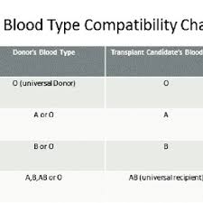 blood type compatibility chart download scientific diagram