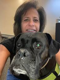 Boxer dog has eye ulcer