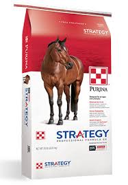 Strategy Professional Formula Gx Horse Supplement Purina