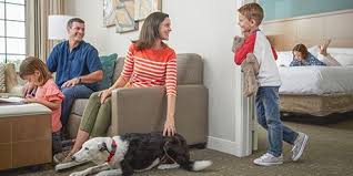 Bed count 1 queen bed maximum occupancy 8 max. Staybridge Our Suites