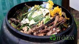 Maybe you would like to learn more about one of these? Can You Put Moldy Food In Compost Or Worm Bin