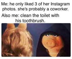 18 Hilarious Evil Miss Piggy Memes That Are So Rel... - Tumbex