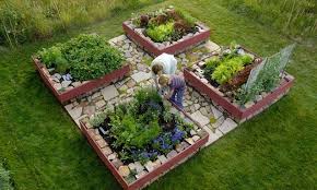 Tomato Cages Vegetable Garden Raised Beds Vegetable Garden Design Raised Bed Vegetable Garden Designs