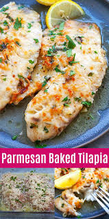 Parmesan Baked Tilapia Fish Recipes Healthy Talapia Recipes Fish Dinner Recipes