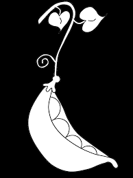 A pea pod is about 5 to 8 cm long and 1 cm wide. Peas Fruit Coloring Pages Coloring Page Book For Kids