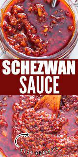 Homemade Schezwan Sauce Szechuan Is Extremely Spicy But Extremely Tasty Sauce That You Shoul In 2021 Schezwan Sauce Indian Food Recipes Vegetarian Pakora Recipes