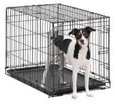 Crate games features not only mature dogs but also puppies as young as 9 weeks old learning how to have focus and motivation for work, how to relax in a ~~crate games is a way to change your dog's training forever. How To Stop Dog From Destroying Things When I M Gone Pupford