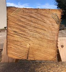 This barn was remodeled in 1910 using these beams. Count the rings! When  was this tree a sapling? What was happening in the world at that time?