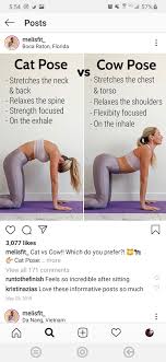 Pin By Lauren Lees On Work It Cow Pose Neck Stretches Cat Pose