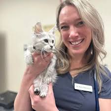 Our Animal Hospital Staff