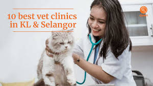 City pet hospital has updated their hours and services. 22u Rtlgirx2m