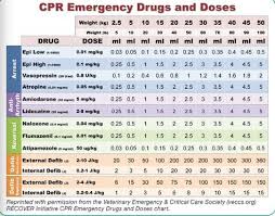 Recovery Chart Emergency Drug Doses Google Search Vet
