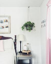English Ivy Hanging Plants Trailing Plants Bedroom Decor Hedera Helix Air Purifying House Plants Clean Air Plants Plant Ivy Plants Hanging Plants Bedroom Decor