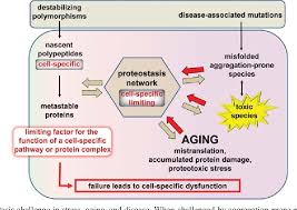 So a limiting factor can be defined as something present in the environment in such short supply that it restricts life processes there are three main factors which limit the rate of photosynthesis: Pdf The Heat Shock Response Systems Biology Of Proteotoxic Stress In Aging And Disease Semantic Scholar