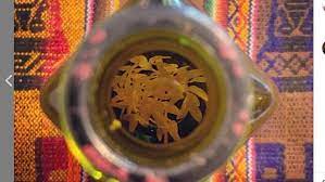 La introducción del cultivo de caña para la fabricación de azúcar, en la época de la colonización española, empezó a producir paralelamente el aguardiente de caña. Cana Con Ruda Como Se Hace Cual Es La Leyenda Cuando Se Prepara Como Se Toma El Cronista