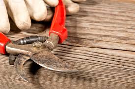 This is a big deal for me because my father always kept our knives very sharp and he had a variety of tools to help him do that. Garden Tools Sharpening Methods Blain S Farm Fleet Blog