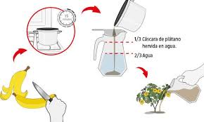 Las Plantas Necesitan Tres Elementos Esenciales Para Su Buen Desarrollo Y Crecimiento Son El Abono Natural Para Plantas Cuidado De Plantas Huerta En Macetas