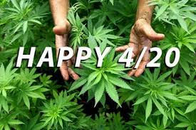 Bagi anda para pecinta film hollywood, mungkin referensi dari para aktor ini bisa menginspirasi anda. Hari Ganja Internasional Apa Arti Sejarah 420 Yang Sebenarnya Semua Halaman Hai