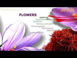 Saffron Benefits Pharmacognosy Medicinal Plants Medicinal Plants Saffron Benefits Saffron