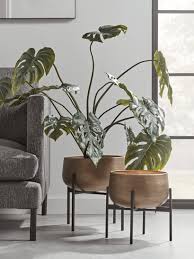 Plant pot brings fresh green ideas to life. Indoor Planters Large Decorative Indoor Plant Pots Indoor Flower Pots Uk