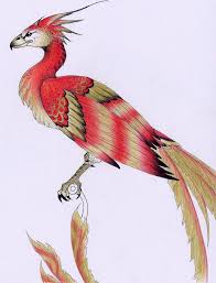 I tried to make it as easy i could. Fawkes The Phoenix Harry Potter Lexicon