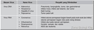 Jikaoleh dna virus, dna manusiadisambungkandengan dna bakteri 8. Peran Virus Dalam Kehidupan Kumpulan Perbedaan