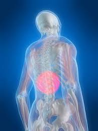 Pin On Exercises For Middle Back Pain