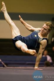 Pin By Warren Wallace On Art Inspiration Sport Gymnastics Gymnastics Pictures Male Gymnast