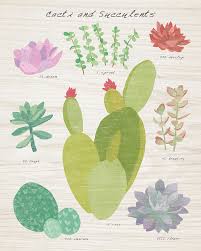 Succulent And Cacti Chart Iii On Wood