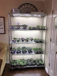 Maybe you would like to learn more about one of these? How To Grow Plants With Led Lights African Violet Light Stand