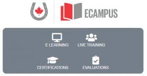 Postsecondary institutions issue degrees, diplomas and certificates, depending on the. Class Is Now In Session Equestrian Canada Celebrates National Coaches Week With The Launch Of The Ecampus The Sport Information Resource Centre