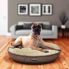 We updated the design of the bed in 2013. Kirkland Signature Machine Washable Luxury Pet Bed In 2021 Luxury Pet Beds Dog Bed Animal Planet