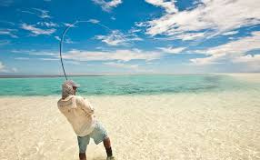Book your flights to seychelles with confidence; Pin By Sebastien Asseraf On Travel See And Do Fishing Holidays Fishing Photo Fly Fishing