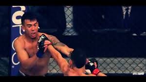 After defeating ortega, max has the longest win streak in the ufc featherweight division with 13 back to back wins. Top Ufc Featherweight Just Got A Massive Body Tattoo Mma Imports