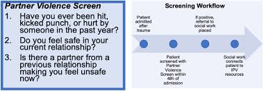 Image result for SAFE Screen for Intimate Partner Violence