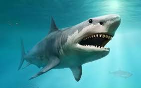 يمتلك سمك القرش نظام خط جانبي على. ØµØ­ÙŠÙØ© Ø§Ù„Ù‚Ø¨Ø³ The Meg Ø§Ù„Ø­Ù‚ÙŠÙ‚ÙŠ Ø§ÙƒØªØ´Ø§Ù Ø¨Ù‚Ø§ÙŠØ§ Ø§Ù„Ù‚Ø±Ø´ Ù…ÙŠØºØ§Ù„Ø¯ÙˆÙ† Ø¨Ø§Ø­Ø«ÙˆÙ† ÙŠØ¹Ø«Ø±ÙˆÙ† Ø¹Ù„Ù‰ Ø¢Ø«Ø§Ø± Ù…ÙŠØºØ§Ù„Ø¯ÙˆÙ† Ø£Ø´Ø±Ø³ Ø§Ù„ÙƒØ§Ø¦Ù†Ø§Øª Ø§Ù„Ø­ÙŠØ© Ø§Ù„Ù‚Ø¯ÙŠÙ…Ø© Ø§Ù„Ù‚Ø±Ø´ ÙˆØµÙ„ ÙˆØ²Ù†Ù‡ Ø¥Ù„Ù‰ 37 Ø·Ù†Ø§ ÙˆØ·ÙˆÙ„Ù‡ 60 Ù‚Ø¯Ù…Ø§