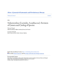 Image result for Anisosepalum alboviolaceum