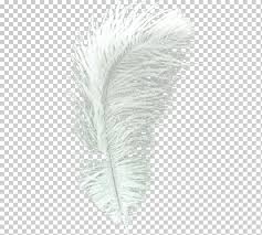 tkxpcec4f04zym 2