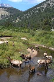 Douglas Land Conservancy National Parks Rocky Mountain National Park Nature