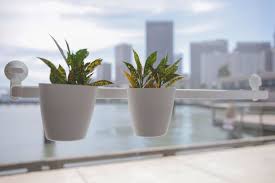 The sill was founded on the premise that plants make people happy. Ikea Hack Suction Cup Window Planters Window Planters Ikea Indoor Garden Planters