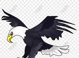 Gambar burung elang hitam putih. 100 Gambar Burung Rajawali Kartun Hd Paling Baru Gambar Id
