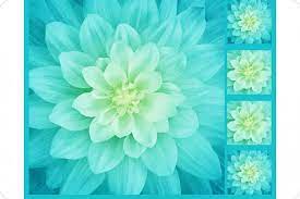 Beautiful patterns for hand embroidery and quilting. Tidepool Hoffman Dream Big Floral Cuddle 55 Panel Batik Quilting Fabrics