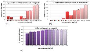 Image result for Combretum padoides