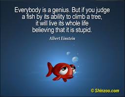 She is quiet and observes others, but loud when she wants something. Albert Einstein Quotes Fish Tree Relatable Quotes Motivational Funny Albert Einstein Quotes Fish Tree At Relatably Com