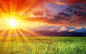 Every image can be downloaded in nearly every resolution to ensure it will work with your device. 48 Beautiful Hd Wallpapers Nature On Wallpapersafari