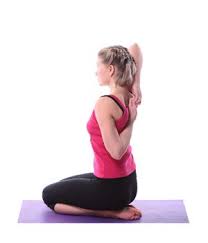Browser Not Supported Yoga Com Cow Face Pose Basic Yoga Poses Yoga Poses