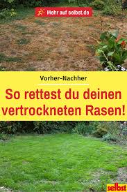 Lawn Burned Self De Your Lawn Has Just Dried Up Due To The High Heat There Is Still Something To Be Done How To In 2020 Diy Garden Projects Lawn