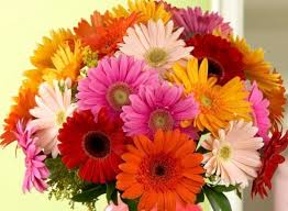 Pin On Birthday Flowers